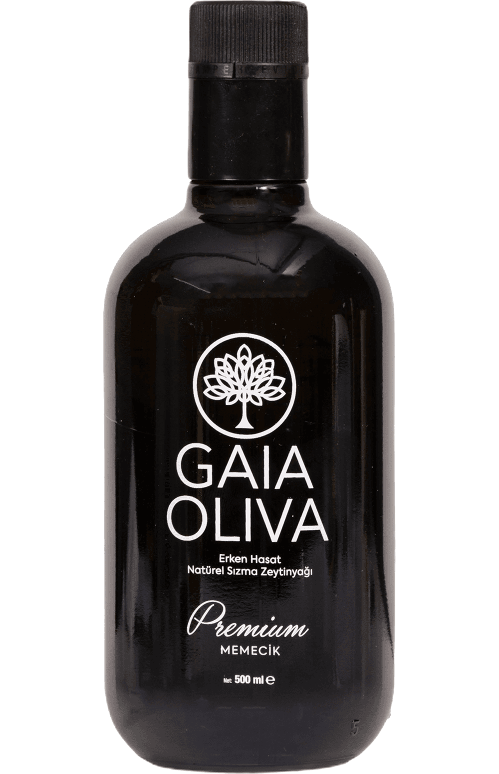 Gaia Oliva Memecik