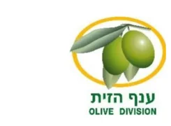 Olive Division